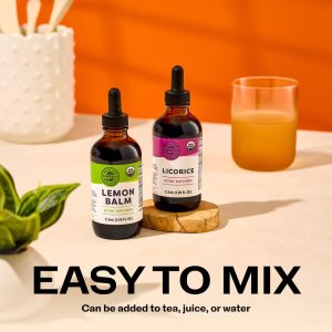 GLP-1 Companion Kit*