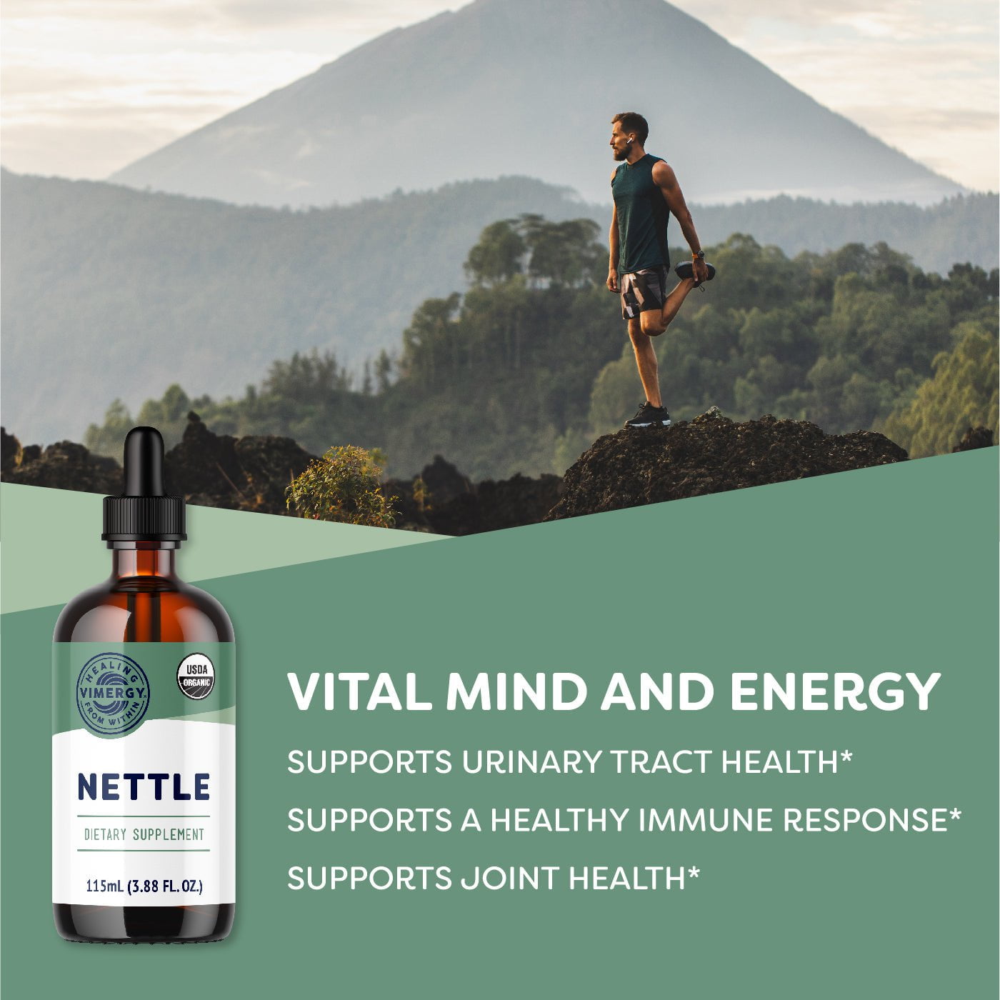 organic-nettle-10-1-vimergy-supplements-vitamins-36303357640874.jpg